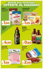 Volantino Ipercoop Radenza Pagina 3