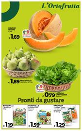 Volantino Coop Radenza Pagina 16