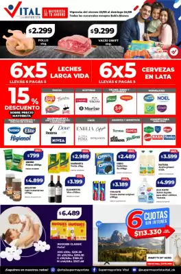 Catálogo Supermayorista Vital (válido hasta 24-08)