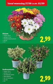 Lidl folder week 35 Pagina 32