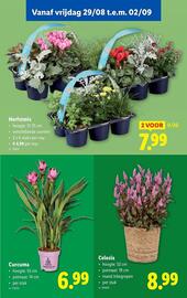 Lidl folder week 35 Pagina 52