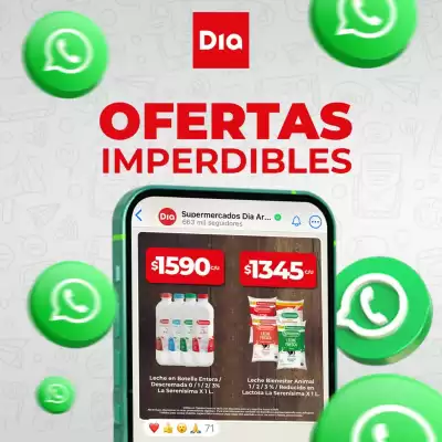 Catálogo Supermercados DIA (válido hasta 28-08)