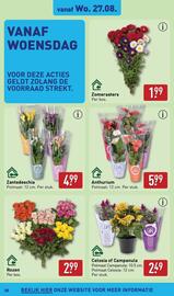ALDI folder week 35 Pagina 38