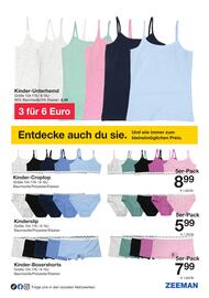 Zeeman Flugblatt Seite 13