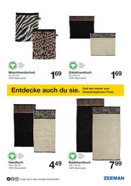 Zeeman Flugblatt Seite 31