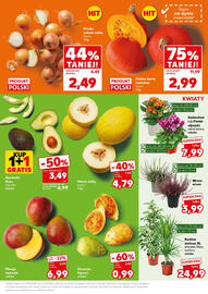 Kaufland gazetka Strona 9