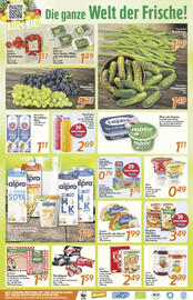 inkoop Prospekt woche 35 Seite 2