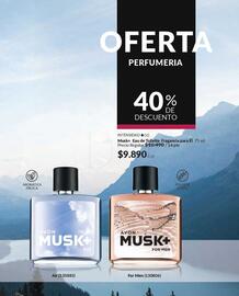 Catálogo Avon Página 62