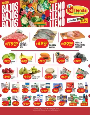 Catálogo Mi Tienda del Ahorro (válido hasta 25-08)