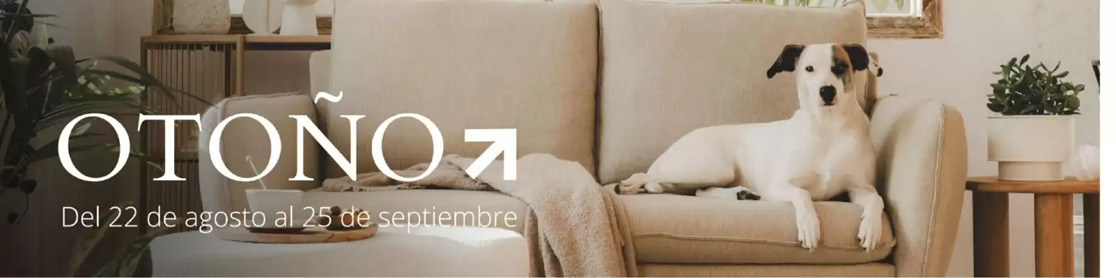 Folleto Verdecora (válido hasta el 25-08)