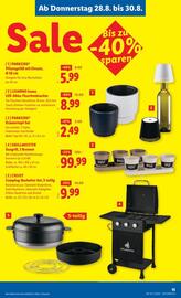 Lidl Flugblatt woche 35 Seite 18