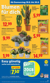 Lidl Flugblatt Seite 23