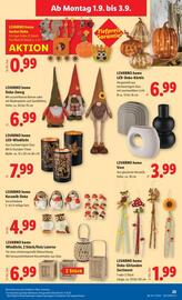 Lidl Flugblatt woche 35 Seite 30