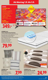 Lidl Flugblatt Seite 31