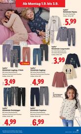Lidl Flugblatt woche 35 Seite 34