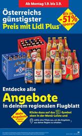 Lidl Flugblatt woche 35 Seite 44