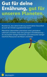 Lidl Flugblatt woche 35 Seite 47