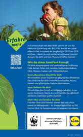 Lidl Flugblatt Seite 47