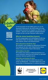 Lidl Flugblatt woche 35 Seite 48