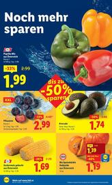 Lidl Flugblatt woche 35 Seite 5