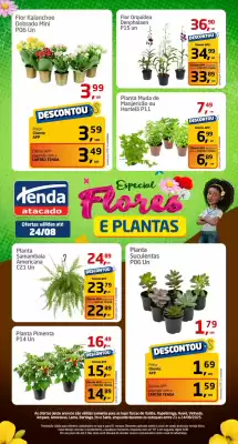 Catálogo Tenda Atacado (válido até 24-08)