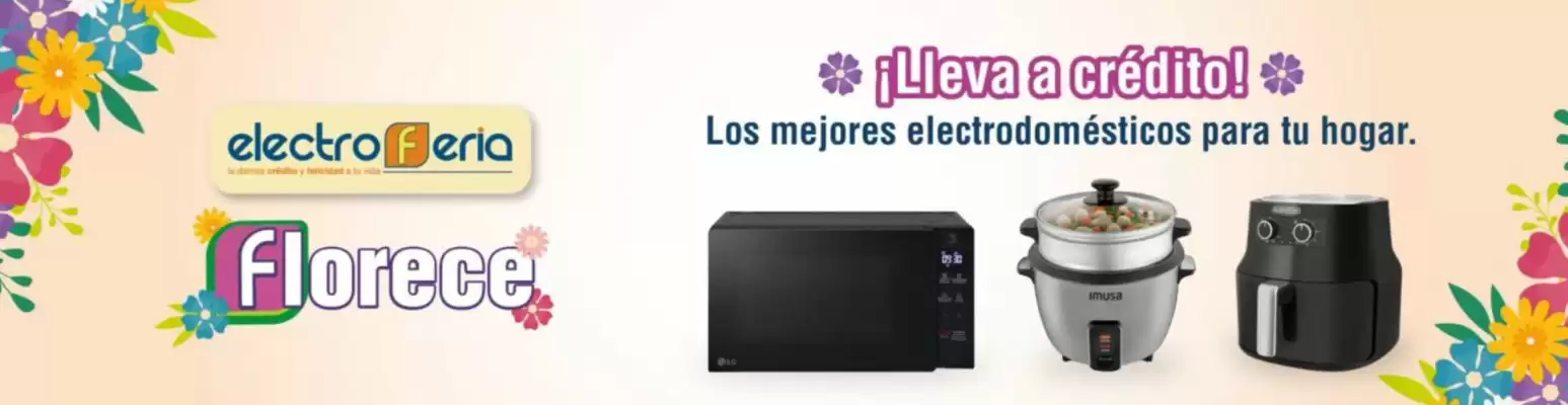 Catálogo Electroferia (válido hasta 12-09)