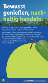 Lidl Prospekt woche 35 Seite 26