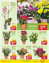 Netto Marken-Discount Prospekt woche 36 Seite 5