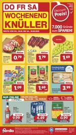 Famila Nord West Prospekt woche 35 Seite 46