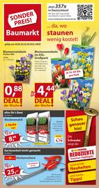 Sonderpreis Baumarkt Prospekt woche 35 Seite 1