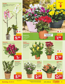 Netto Marken-Discount DE folder week 35 Pagina 5