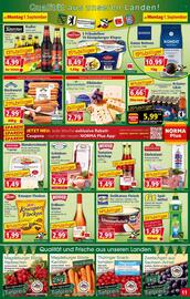 Norma Prospekt woche 36 Seite 11