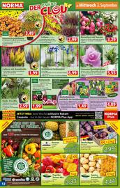 Norma Prospekt woche 36 Seite 12