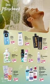Rossmann Prospekt Seite 15