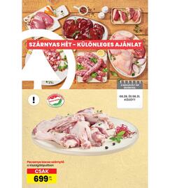 Interspar akciós újság hét 35 Oldal 13