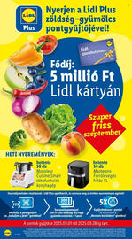 Lidl akciós újság hét 35 Oldal 16