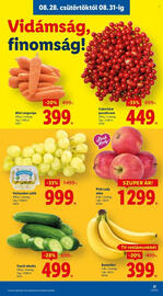 Lidl akciós újság hét 35 Oldal 17