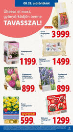 Lidl akciós újság hét 35 Oldal 23
