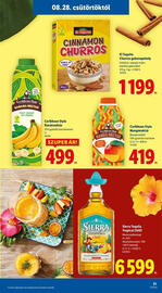 Lidl akciós újság hét 35 Oldal 31
