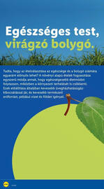 Lidl akciós újság hét 35 Oldal 32