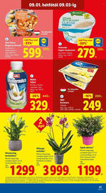 Lidl akciós újság hét 35 Oldal 63