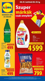 Lidl akciós újság hét 35 Oldal 76