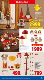 Lidl akciós újság hét 35 Oldal 13