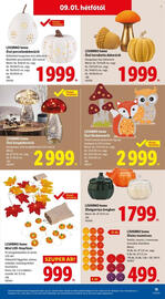 Lidl akciós újság hét 35 Oldal 15