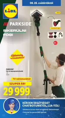 Lidl akciós újság (érvényes eddig: 3-09)