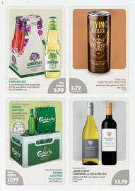 Edeka Struve Prospekt woche 35 Seite 13