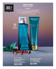 Catálogo Avon Página 52