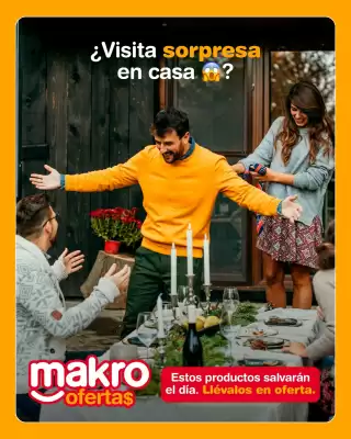 Catálogo Makro (válido hasta 28-08)