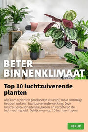 Intratuin folder week 35 Pagina 5