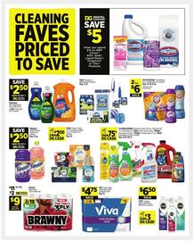 Dollar General Weekly Ad week 35 Page 10